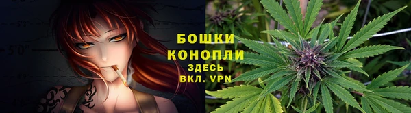 соль ск Беломорск