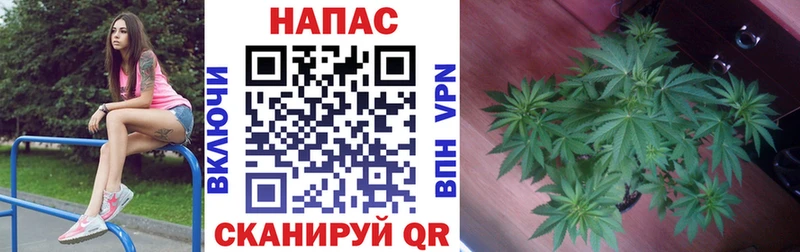 Каннабис семена  Купить  Нарткала 